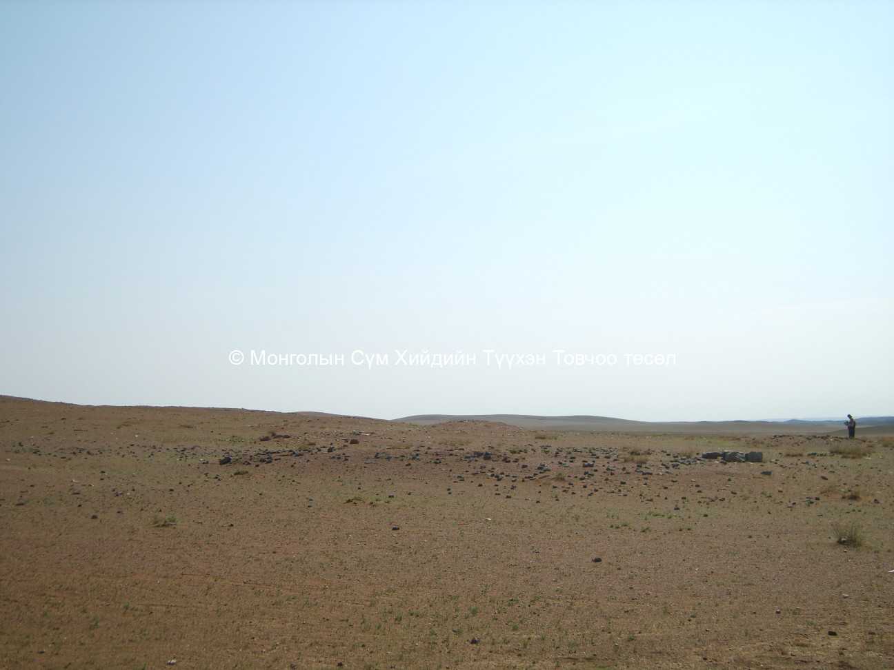 Баруун талаас авсан